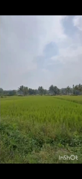  30 Guntha Agricultural/Farm Land for Sale in Mysore Road, Bangalore