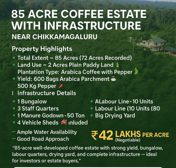  85 Acre Agricultural/Farm Land for Sale in Jayanagar, Chikmagalur