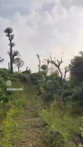  10 Acre Agricultural/Farm Land for Sale in Madikeri, Kodagu