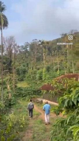  10 Acre Agricultural/Farm Land for Sale in Madikeri, Kodagu