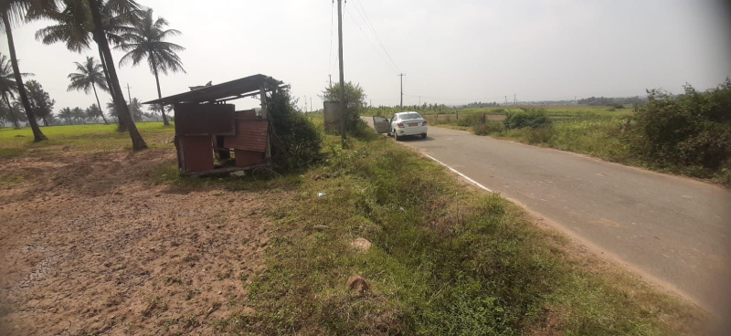  39 Guntha Commercial Land for Sale in Koppa, Chikmagalur