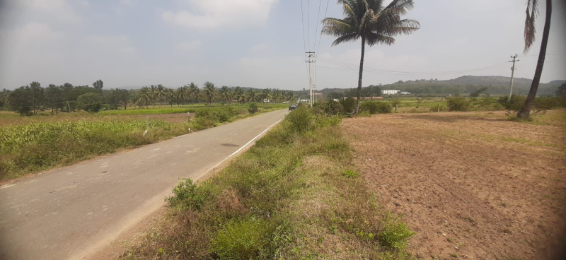  39 Guntha Commercial Land for Sale in Koppa, Chikmagalur