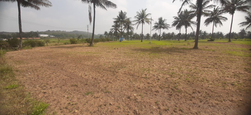  39 Guntha Commercial Land for Sale in Koppa, Chikmagalur