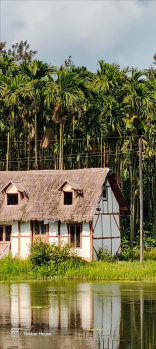  Agricultural Land for Sale in Mugathihalli, Chikmagalur