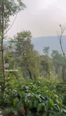  40 Acre Agricultural/Farm Land for Sale in Madikeri, Kodagu