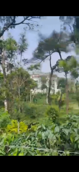  2 Acre Agricultural/Farm Land for Sale in Madikeri, Kodagu