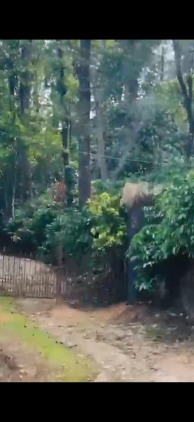  2 Acre Agricultural/Farm Land for Sale in Madikeri, Kodagu