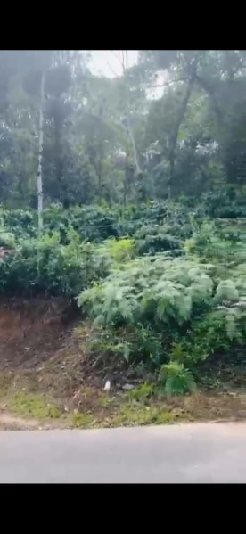  2 Acre Agricultural/Farm Land for Sale in Madikeri, Kodagu