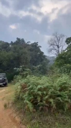  150 Acre Agricultural/Farm Land for Sale in Madikeri, Kodagu