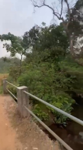  150 Acre Agricultural/Farm Land for Sale in Madikeri, Kodagu