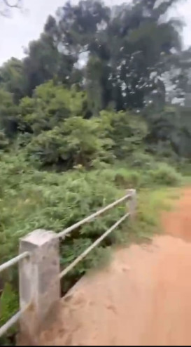  150 Acre Agricultural/Farm Land for Sale in Madikeri, Kodagu