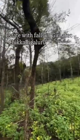  10 Acre Agricultural/Farm Land for Sale in Mullayanagiri, Chikmagalur