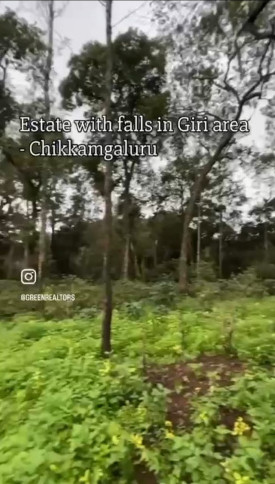  10 Acre Agricultural/Farm Land for Sale in Mullayanagiri, Chikmagalur