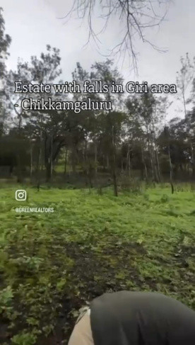  10 Acre Agricultural/Farm Land for Sale in Mullayanagiri, Chikmagalur