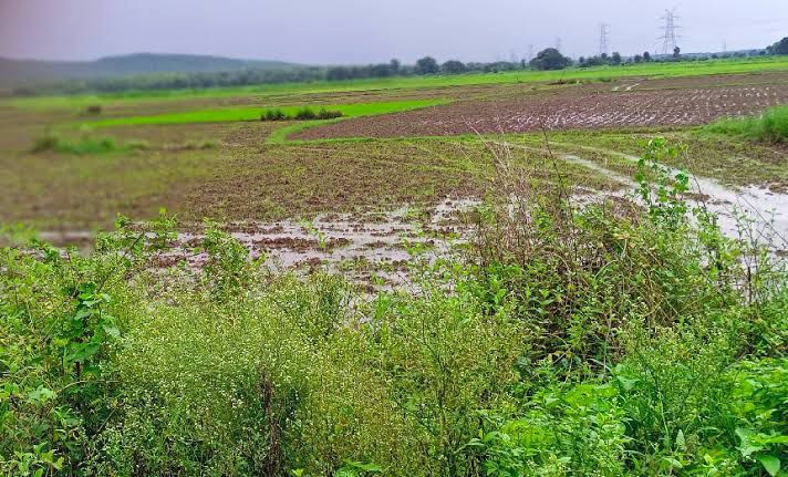  10 Acre Agricultural/Farm Land for Sale in Srirampuram, Bangalore