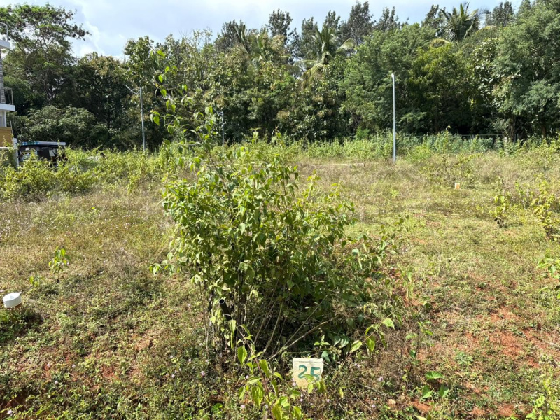  600 Sq.ft. Agricultural/Farm Land for Sale in Vijaynagar, Mysore
