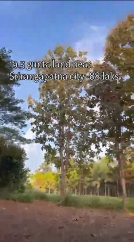  20 Guntha Agricultural/Farm Land for Sale in Srirangapatnam, Mysore