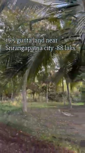  20 Guntha Agricultural/Farm Land for Sale in Srirangapatnam, Mysore