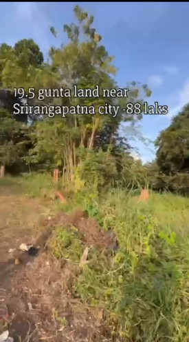  20 Guntha Agricultural/Farm Land for Sale in Srirangapatnam, Mysore