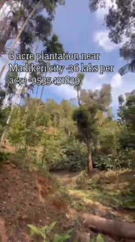  6 Acre Agricultural/Farm Land for Sale in Madikeri, Kodagu