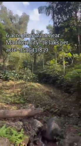  6 Acre Agricultural/Farm Land for Sale in Madikeri, Kodagu