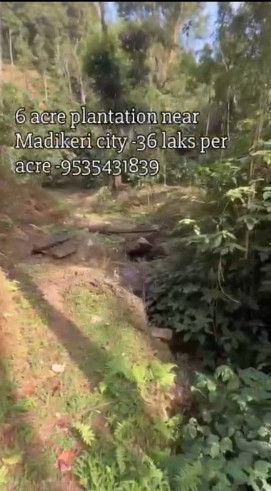  6 Acre Agricultural/Farm Land for Sale in Madikeri, Kodagu