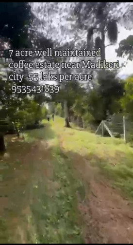  7 Acre Agricultural/Farm Land for Sale in Madikeri, Kodagu
