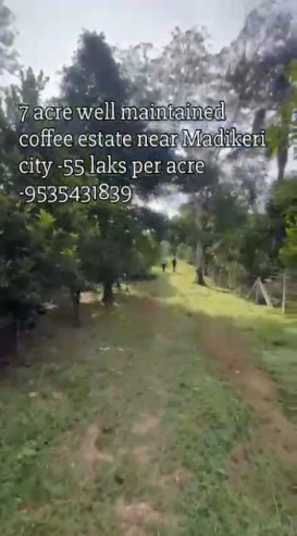  7 Acre Agricultural/Farm Land for Sale in Madikeri, Kodagu