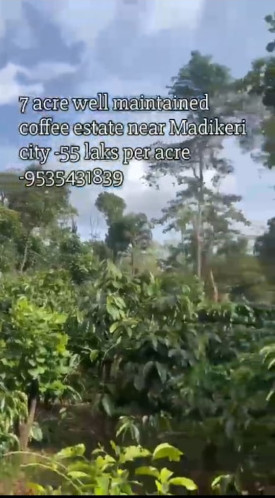  7 Acre Agricultural/Farm Land for Sale in Madikeri, Kodagu