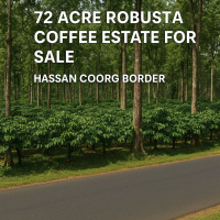  Agricultural Land for Sale in Hirisave, Hassan