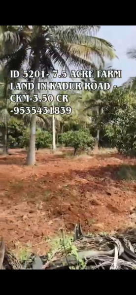  8 Acre Agricultural/Farm Land for Sale in Kadur, Chikmagalur