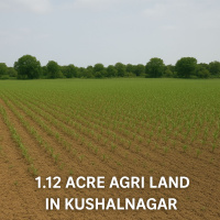  Agricultural Land for Sale in Kushalnagar, Kodagu