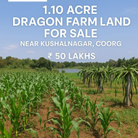  Agricultural Land for Sale in Kushalnagar, Kodagu