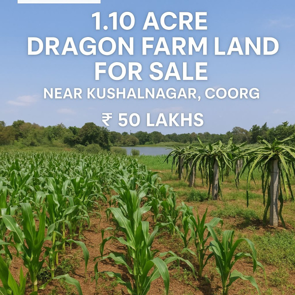  1 Acre Agricultural/Farm Land for Sale in Kushalnagar, Kodagu