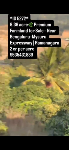  9 Acre Agricultural/Farm Land for Sale in Ramanagara, Bangalore