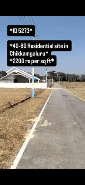  2400 Sq.ft. Residential Plot for Sale in Kote, Chikmagalur