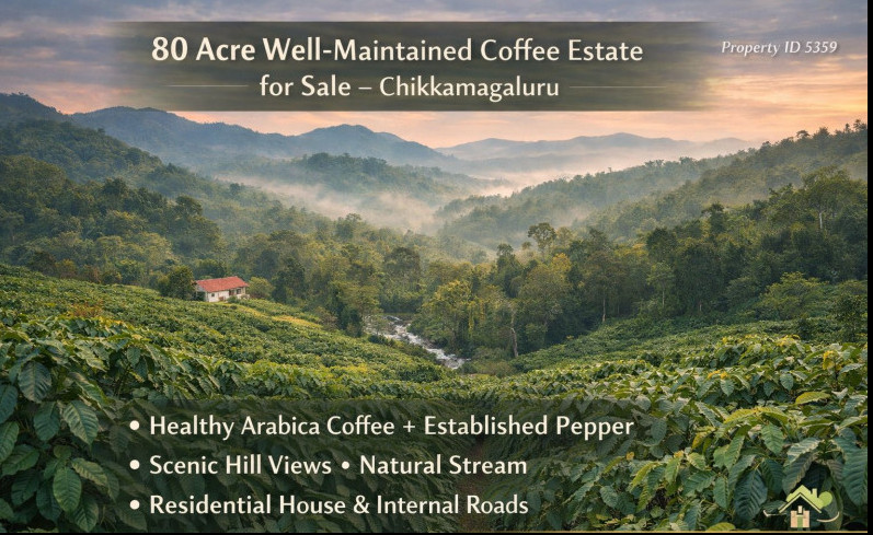  80 Acre Agricultural/Farm Land for Sale in Kalyananagara, Chikmagalur, 