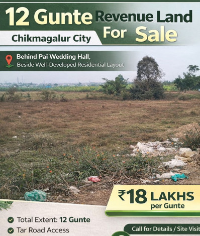  12 Guntha Commercial Land for Sale in Hiremagalur, Chikmagalur