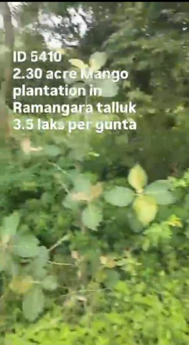  2 Acre Agricultural/Farm Land for Sale in Ramanagara, Bangalore