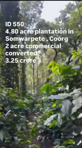  5 Acre Agricultural/Farm Land for Sale in Shanivarasanthe, Kodagu