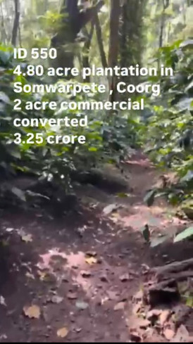  5 Acre Agricultural/Farm Land for Sale in Shanivarasanthe, Kodagu