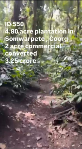  5 Acre Agricultural/Farm Land for Sale in Shanivarasanthe, Kodagu