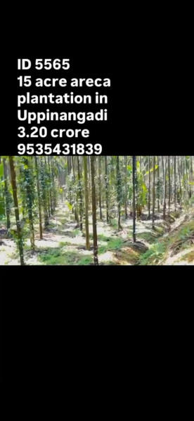  15 Acre Agricultural/Farm Land for Sale in Uppinangady, Dakshin Kannad