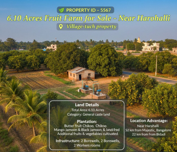  6 Acre Agricultural/Farm Land for Sale in Harohalli, Bangalore