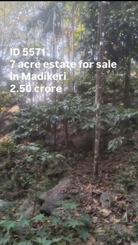  7 Acre Agricultural/Farm Land for Sale in Madikeri, Kodagu