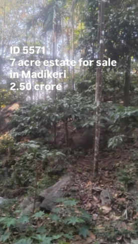  7 Acre Agricultural/Farm Land for Sale in Madikeri, Kodagu