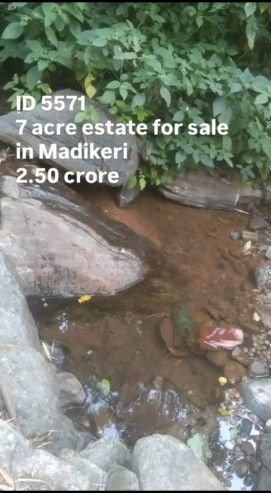  7 Acre Agricultural/Farm Land for Sale in Madikeri, Kodagu