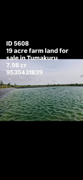  19 Acre Agricultural/Farm Land for Sale in Yadiyur, Tumkur