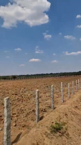  6 Acre Agricultural/Farm Land for Sale in Madhugiri, Tumkur