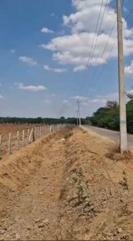  6 Acre Agricultural/Farm Land for Sale in Madhugiri, Tumkur